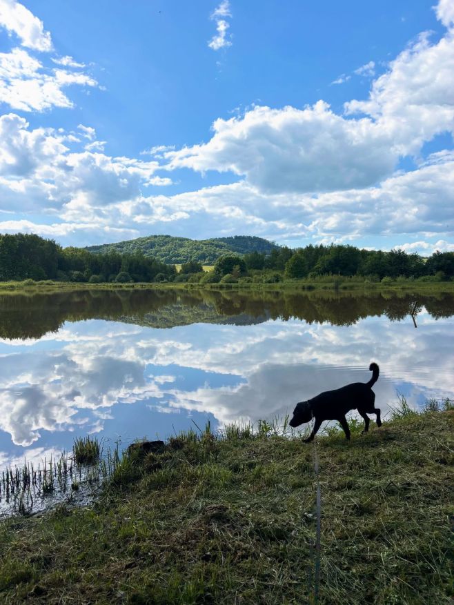 Můj víkend byl: 🌳 Fyzicky náročný - naťapala jsem spoustu km. 🔋 Psychicky odpočinkový - většinu času jsem strávila venku v...